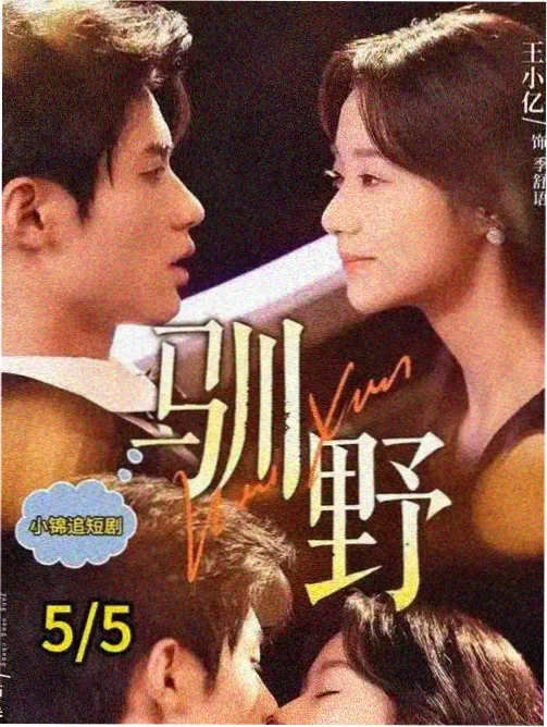 代号白鹭 日韩剧集封面